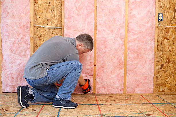 Best Cellulose Insulation in Roundup, MT